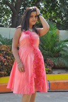 Padmini Gallery